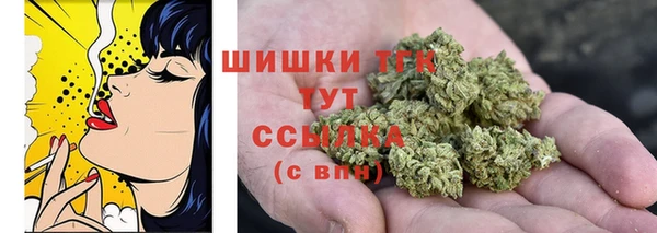 СК Медвежьегорск