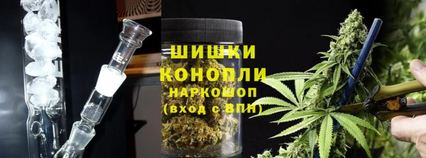 СК Медвежьегорск
