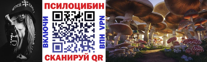 Галлюциногенные грибы Cubensis  Петровск-Забайкальский 